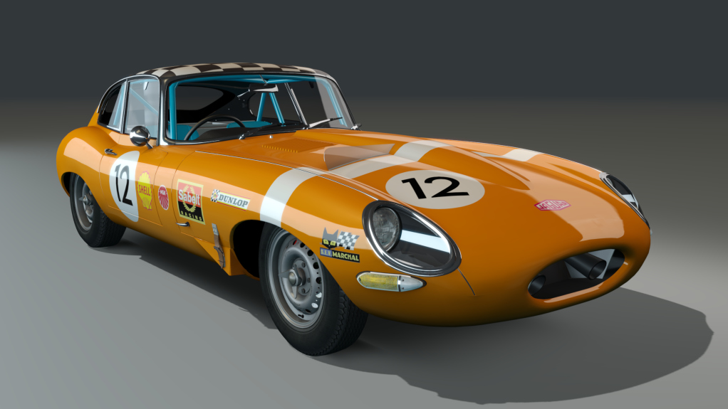 ACL GTC Jaguar E-type Le Mans, skin orange_12