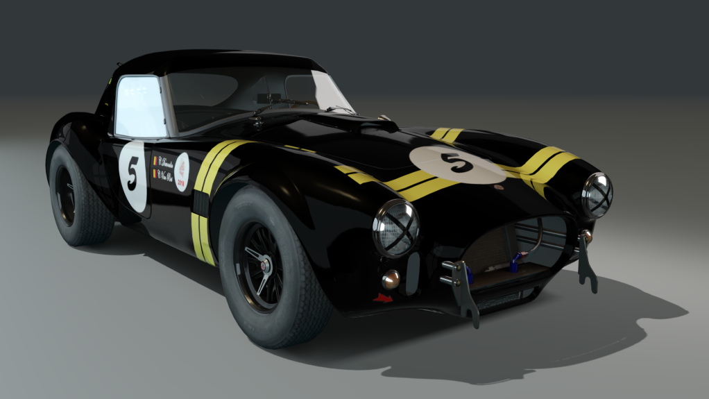 ACL GTC Shelby Cobra 289 Hardtop, skin Vanriet