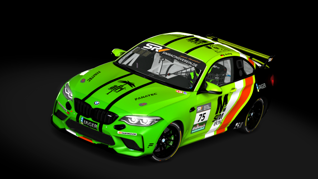 Car Skin