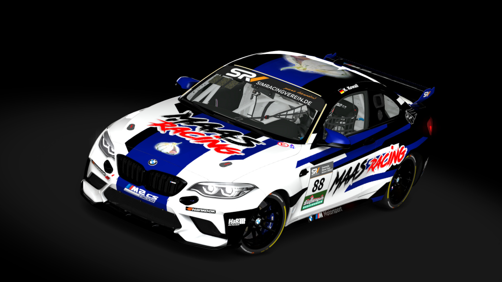 Car Skin