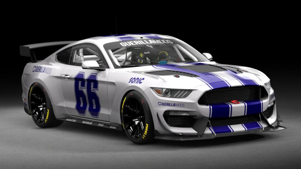 Ford Mustang GT4, skin 66_guerilla_racing